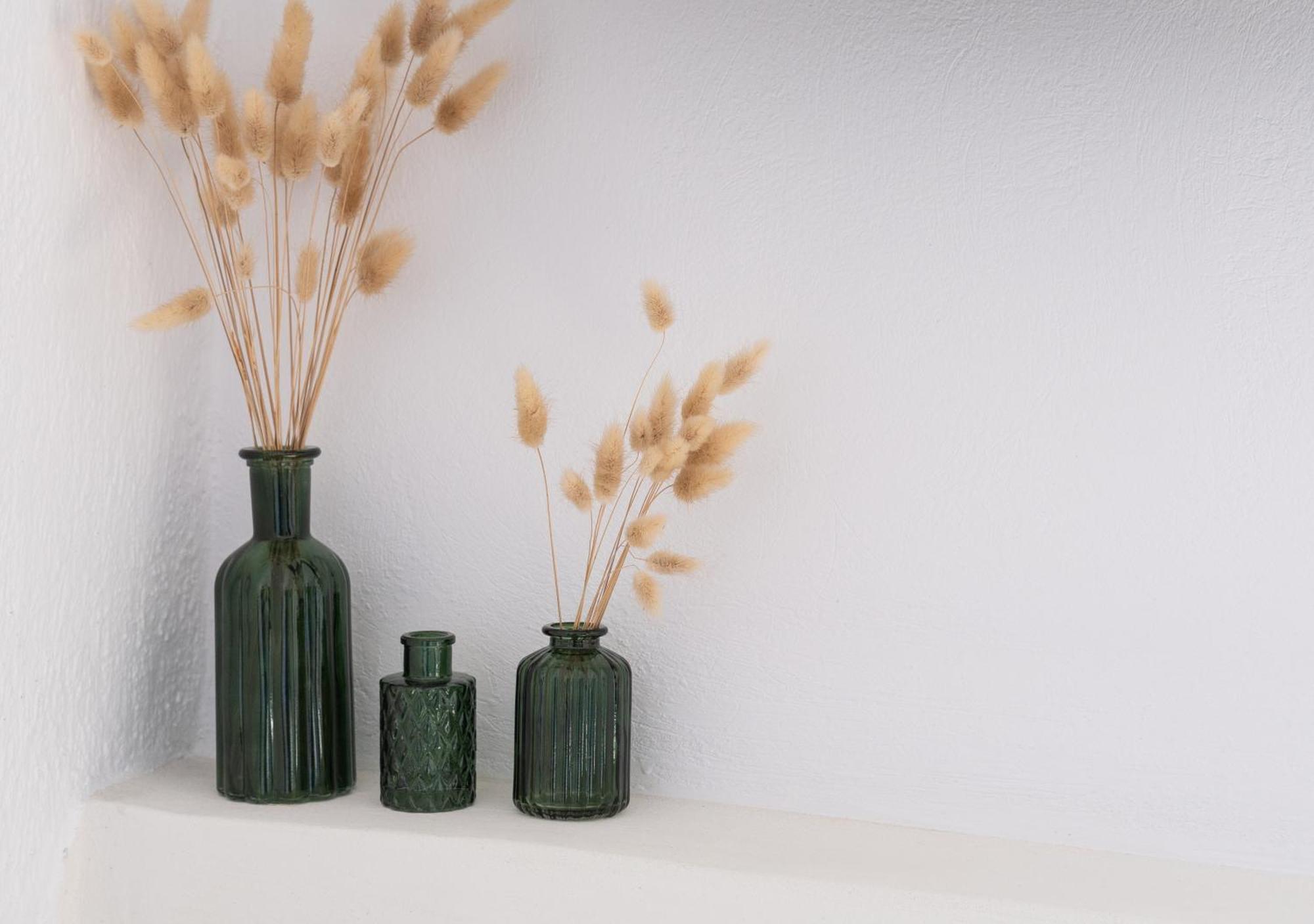 The Botanist Guesthouse Skopelos Dış mekan fotoğraf