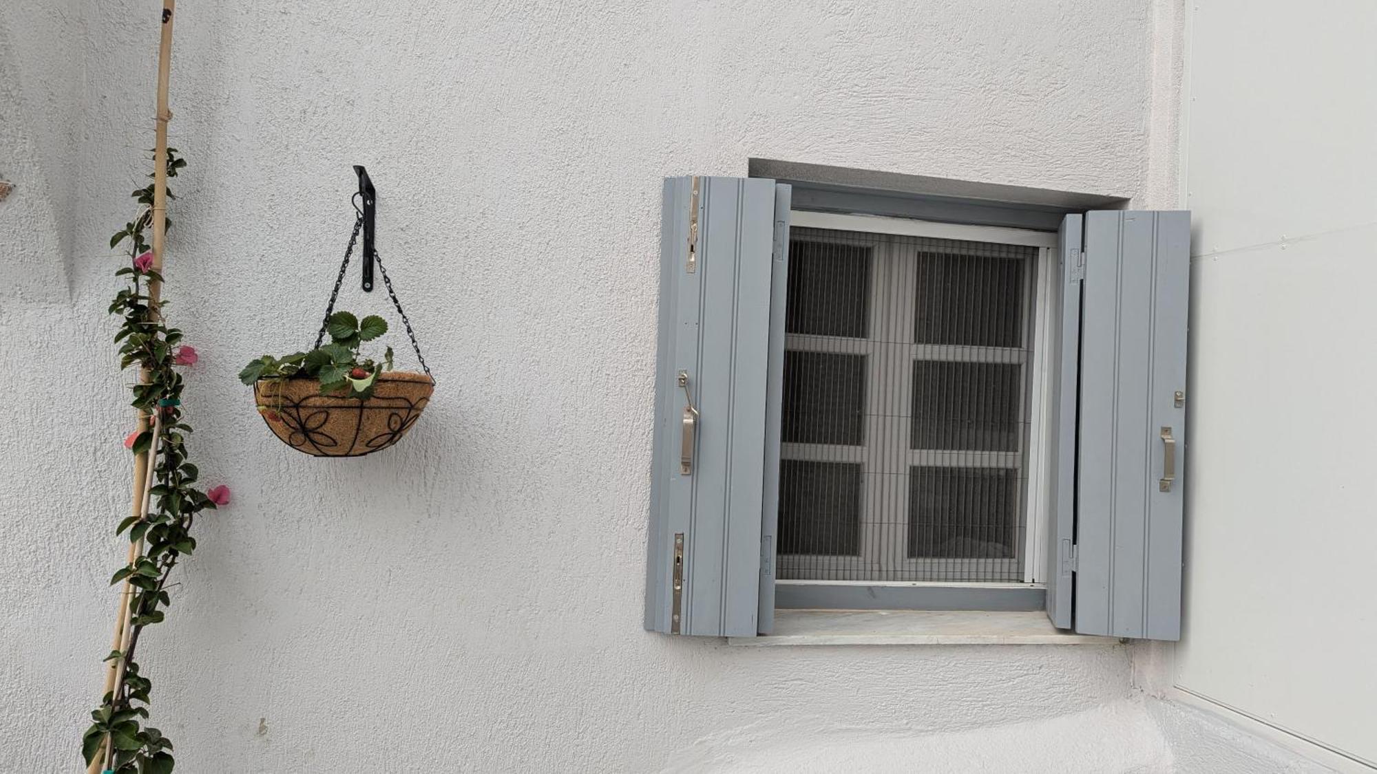 The Botanist Guesthouse Skopelos Dış mekan fotoğraf
