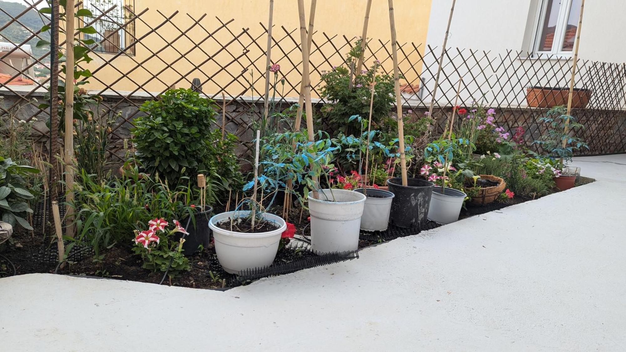 The Botanist Guesthouse Skopelos Dış mekan fotoğraf