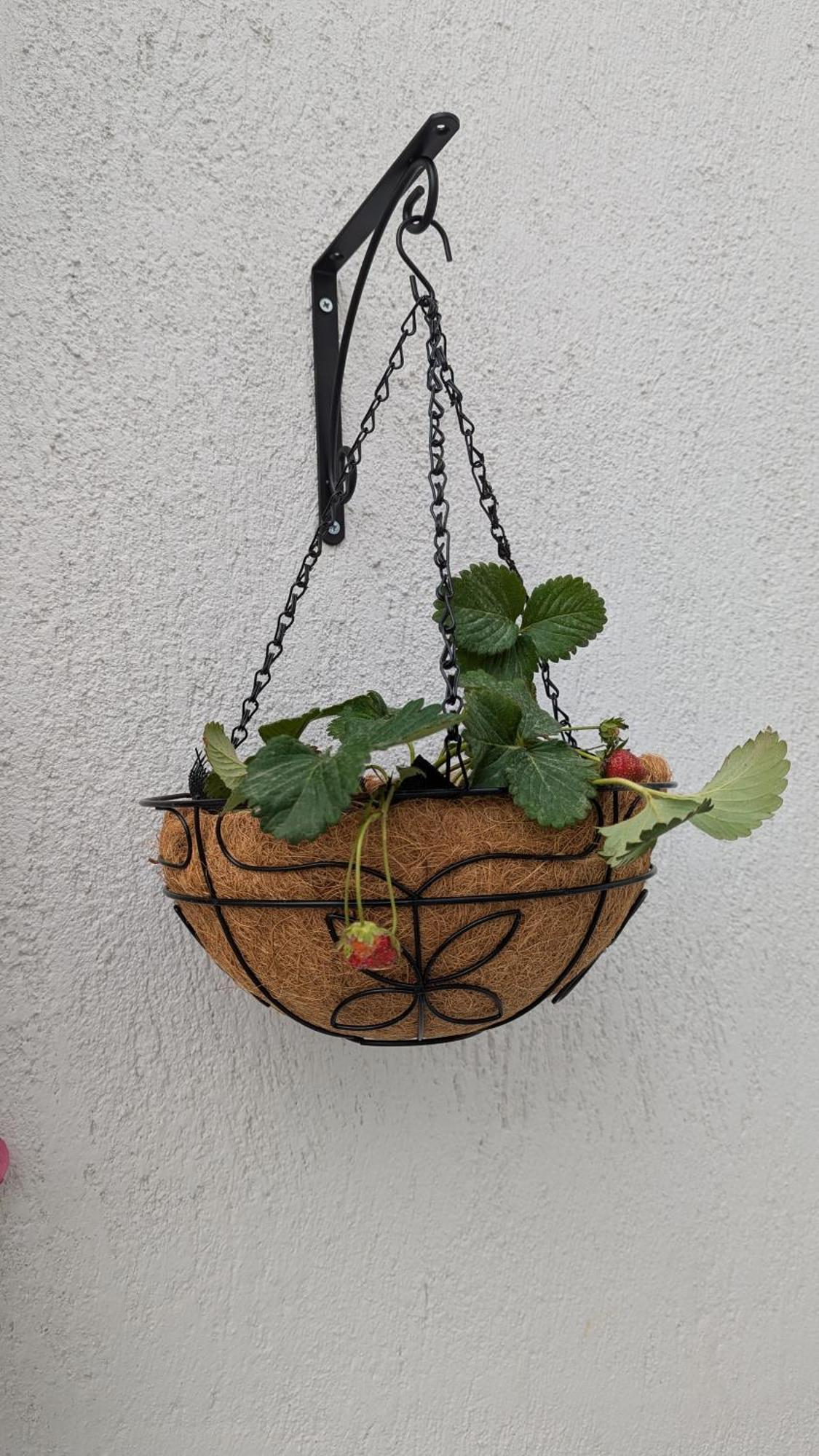 The Botanist Guesthouse Skopelos Dış mekan fotoğraf