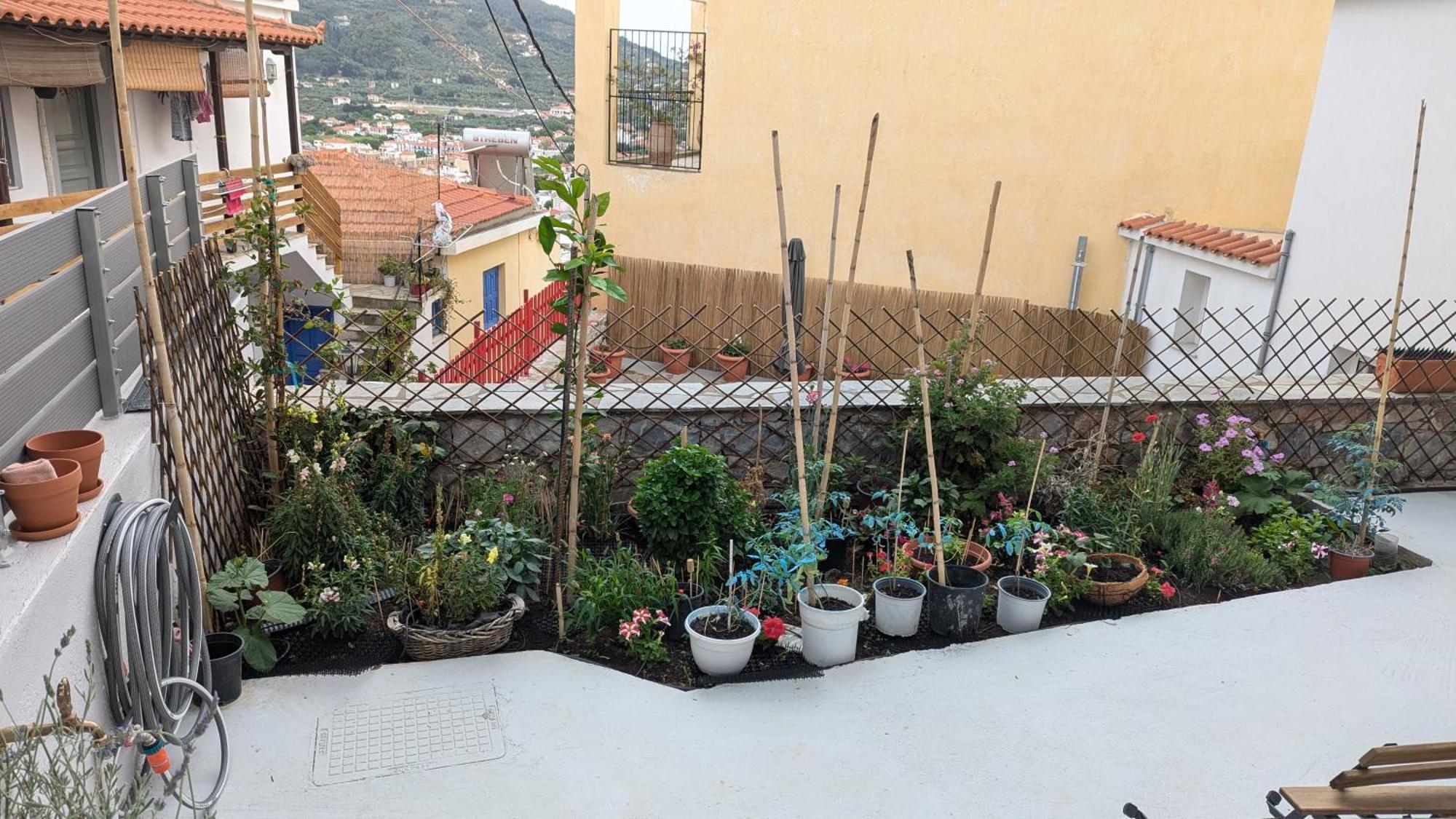 The Botanist Guesthouse Skopelos Dış mekan fotoğraf