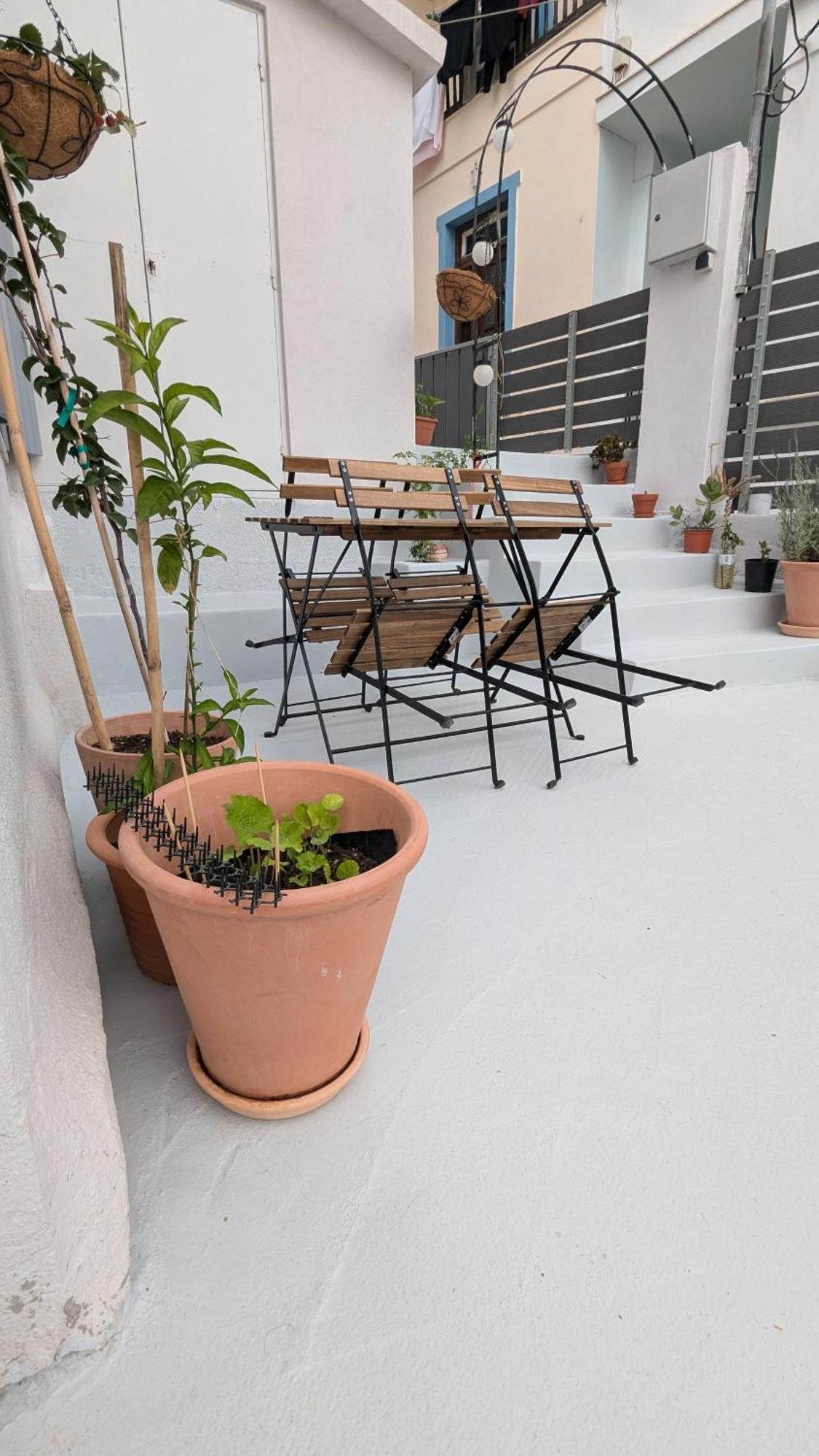The Botanist Guesthouse Skopelos Dış mekan fotoğraf
